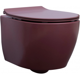 Унитаз подвесной Allen Brau Fantasy 4.11004.BD безободковый