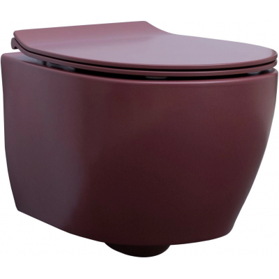 Унитаз подвесной Allen Brau Fantasy 4.11004.BD безободковый купить с доставкой. 100% Оригинал. Гарантия!