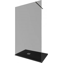 Душевая перегородка Allen Brau Infinity 120 см. профиль серебро, стекло прозрачное