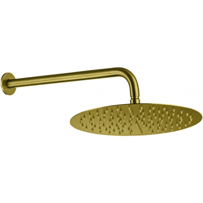 Верхний душ Allen Brau Priority 5.31A17-GB золото купить с доставкой. 100% Оригинал. Гарантия!