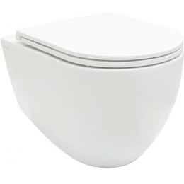 Унитаз подвесной Allen Brau Reality 4.32006.20 безободковый