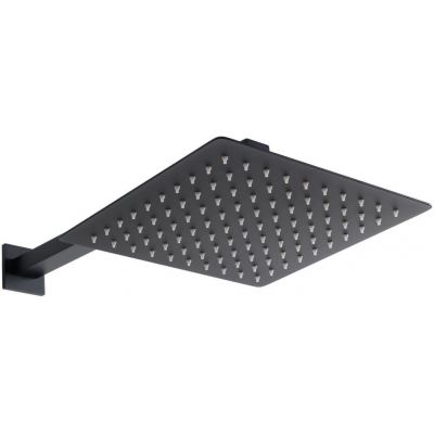 Верхний душ Allen Brau Infinity 5.21019-31 черный купить с доставкой. 100% Оригинал. Гарантия!