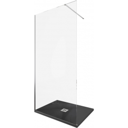 Душевая перегородка Allen Brau Infinity 100 см. профиль серебро, стекло прозрачное