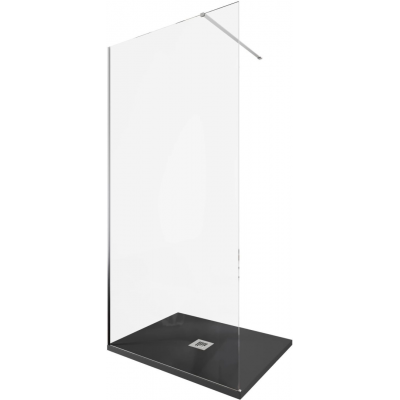 Душевая перегородка Allen Brau Infinity 100 см. профиль серебро, стекло прозрачное купить с доставкой. 100% Оригинал. Гарантия!