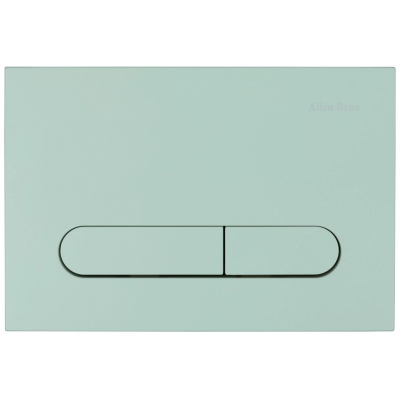 Кнопка смыва Allen Brau Project Color 9.2PR01.MT зеленый купить с доставкой. 100% Оригинал. Гарантия!