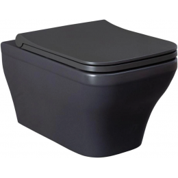 Унитаз подвесной Allen Brau Infinity 4.21011.AN безободковый