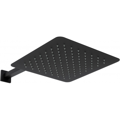 Верхний душ Allen Brau Infinity 5.21A19-31 черный купить с доставкой. 100% Оригинал. Гарантия!