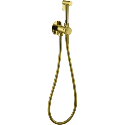 Гигиенический душ со смесителем Allen Brau Priority 5.31A29-GB золото купить с доставкой. 100% Оригинал. Гарантия!