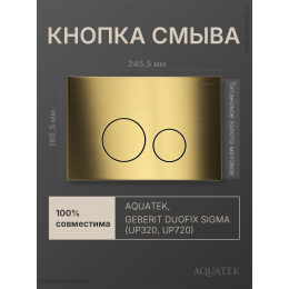 Кнопка смыва Aquatek KDI-0000038 титановое золото