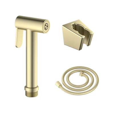 AQ2054BG гигиенический ручной душ со шлангом 120 см и держателем, шлиф. золото купить с доставкой. 100% Оригинал. Гарантия!