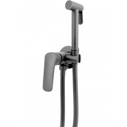 AQ1019BGM ВЕГА комплект для гигиенического душа встроенный (смеситель + гигиеническая лейка + шланг), оружейная сталь