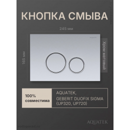 Панель смыва Aquatek KDI-0000019 хром матовая Панель смыва Aquatek KDI-0000019 хром матовая