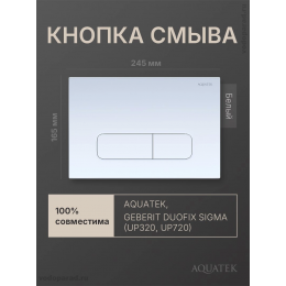 Панель смыва Aquatek KDI-0000013 белая Панель смыва Aquatek KDI-0000013 белая