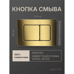 Кнопка смыва Aquatek KDI-0000041 титановое золото