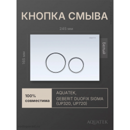 Панель смыва Aquatek KDI-0000015 белая с ободком хром Панель смыва Aquatek KDI-0000015 белая с ободком хром