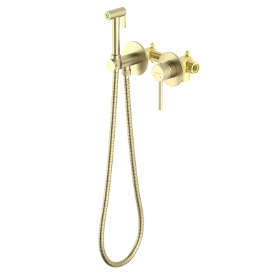 AQ1319BG ЕВРОПА комплект для гигиенического душа встроенный 2 отв. (смеситель + гигиеническая лейка + шланг), шлиф. золото купить с доставкой. 100% Оригинал. Гарантия!
