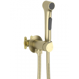 AQ1020BG ЕВРОПА комплект для гигиенического душа встроенный (смеситель + гигиеническая лейка + шланг), шлиф. золото