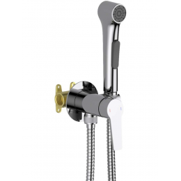 AQ1719CR ЛУГАНО комплект для гигиенического душа встроенный (смеситель + гигиеническая лейка + шланг) AQ1719CR ЛУГАНО комплект для гигиенического душа встроенный (смеситель + гигиеническая лейка + шланг)