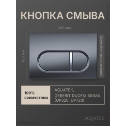 Кнопка смыва Aquatek KDI-0000050 оружейная сталь