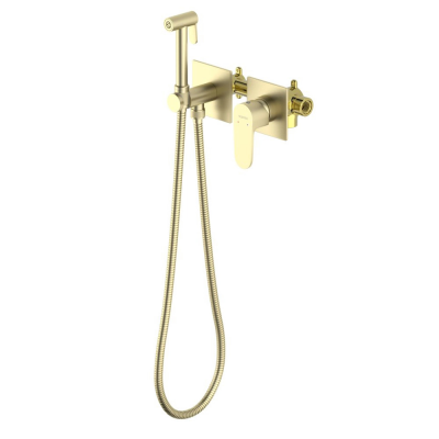 AQ1220BG ОБЕРОН комплект для гигиенического душа встроенный 2 отв. (смеситель + гигиеническая лейка + шланг), шлиф. золото купить с доставкой. 100% Оригинал. Гарантия!
