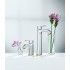 Смеситель Grohe Grandera 23303IG0 для раковины