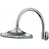 Верхний душ Grohe Rainshower Rustic 210 28369000
