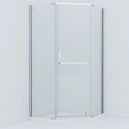 Душевая перегородка Iddis STEEL 100 см. профиль сатин, стекло прозрачное