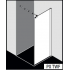 Стеклянная душевая перегородка Kermi WALK-IN PASA PX TWF/G (800 mm)
