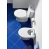 Крышка-сиденье Roca Victoria 801390004 петли хром