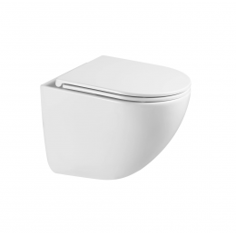 Унитаз подвесной с сиденьем Terminus Аврора 01WM49x36W