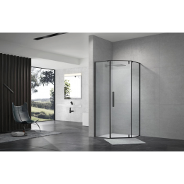 Душевой уголок распашной Terminus Альба 04 1000х1000х2200  трапеция чёрный