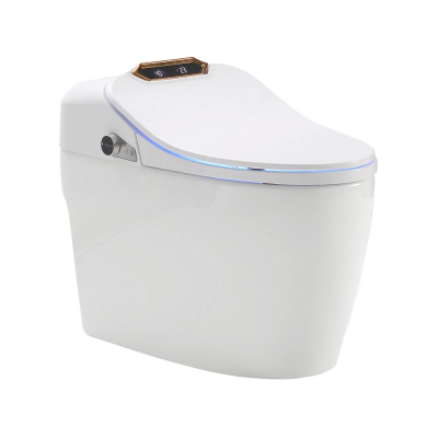 Унитаз-биде приставной с сиденьем микролифт Timo TE-731 купить с доставкой. 100% Оригинал. Гарантия!