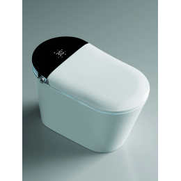 Унитаз-биде напольный с сиденьем микролифт Timo TE-741B Унитаз-биде напольный с сиденьем микролифт Timo TE-741B