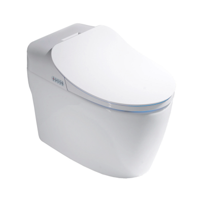 Унитаз-биде приставной с сиденьем микролифт Timo TE-721 купить с доставкой. 100% Оригинал. Гарантия! Унитаз-биде приставной с сиденьем микролифт Timo TE-721 купить с доставкой. 100% Оригинал. Гарантия!