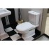 Унитаз-компакт Villeroy & Boch Hommage 6662 10 R1 alpin с бачком