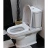 Унитаз-компакт Villeroy & Boch Hommage 6662 10 R1 alpin с бачком