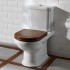 Унитаз-компакт Villeroy & Boch Hommage 6662 10 R1 alpin с бачком