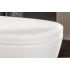 Унитаз подвесной Villeroy & Boch Antheus альпийский белый